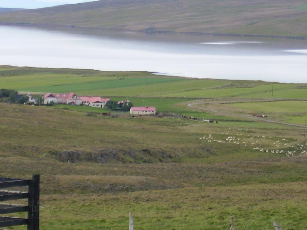 Stekkjardalur Holiday Home Svínavatn Exterior foto